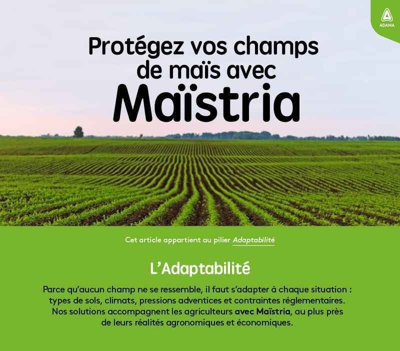 800x700-footer-Adaptabilite 50ko