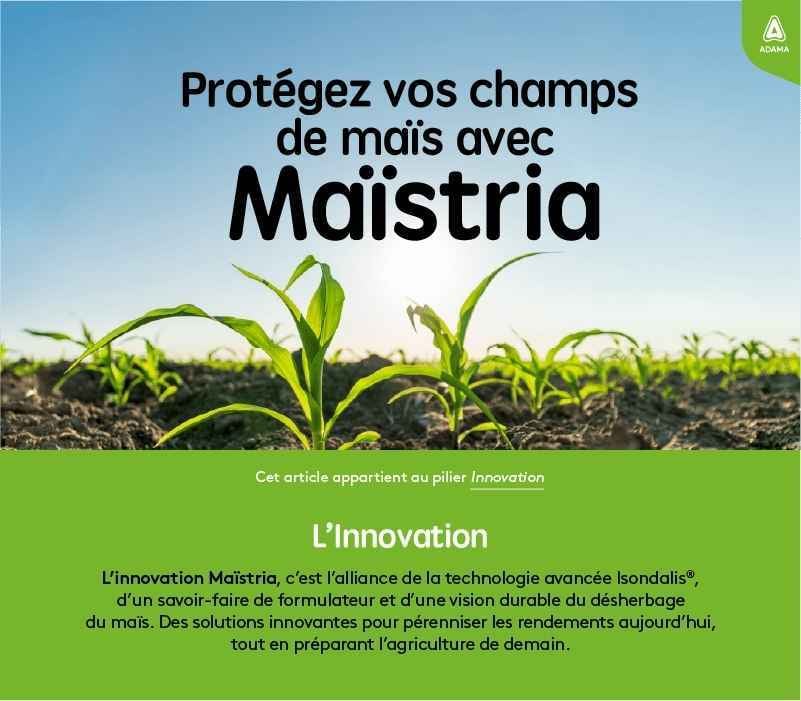 800x700-footer-Innovation 50ko