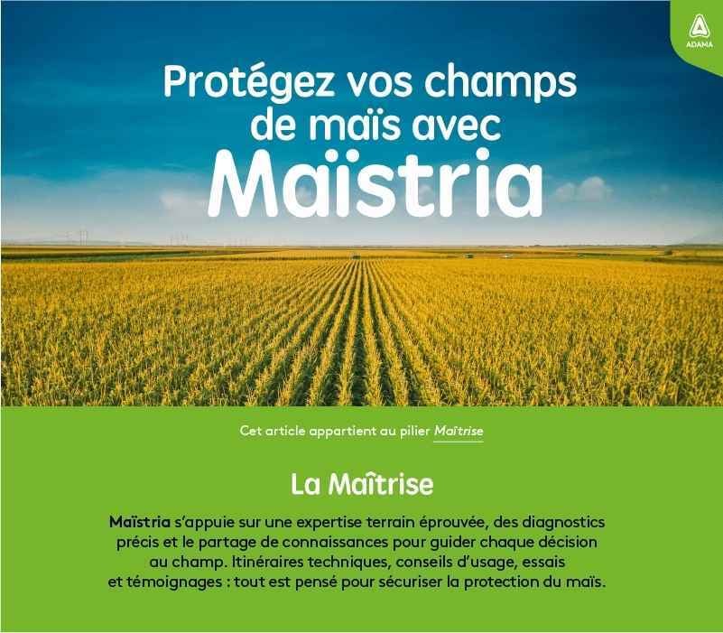 800x700-footer-Maitrise (1) 50ko