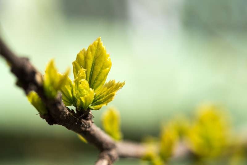 AdobeStock_336693187_800x