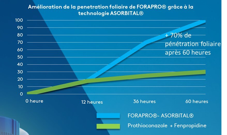 Amelioraion_penetration_avec_Asorbital