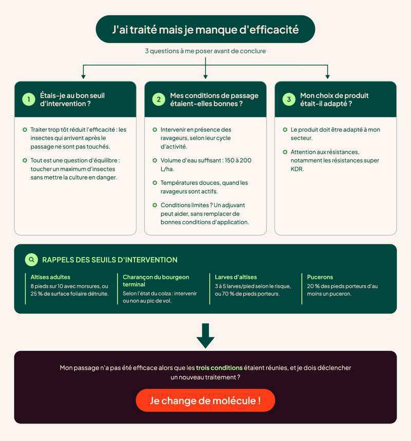 Arbre_decision_Insecticide_colzas_Agroleague_800x860