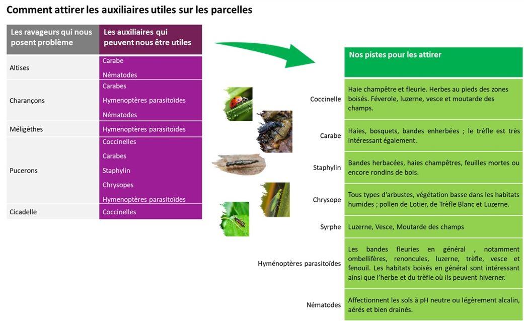 Attirer_auxiliaires_Choix_Amenagement