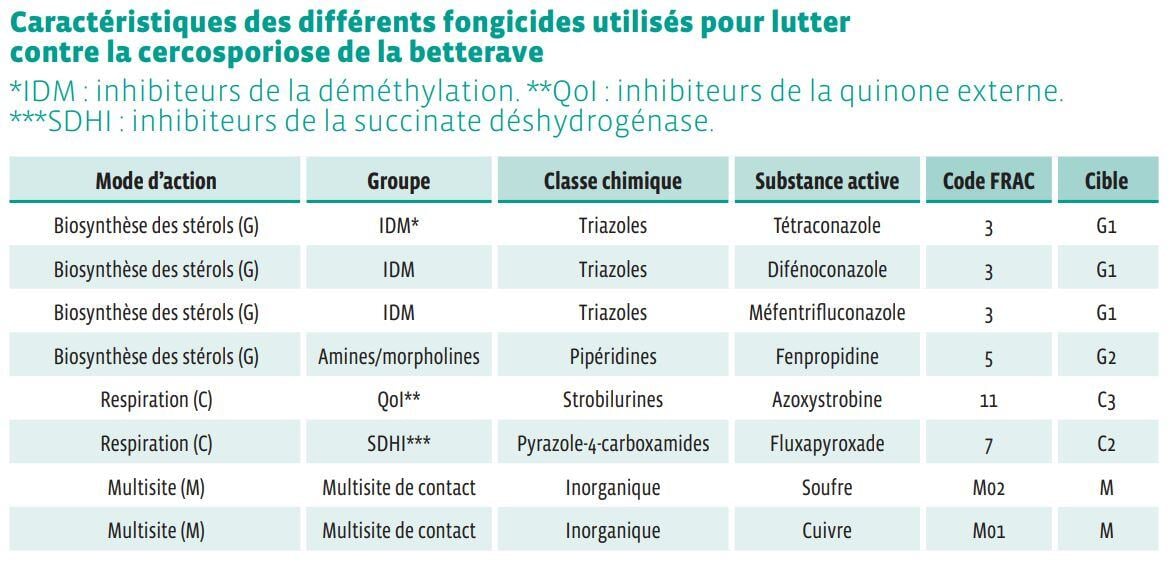 Caracteristiques_fongicides_lutte_cercosporiose_betterave