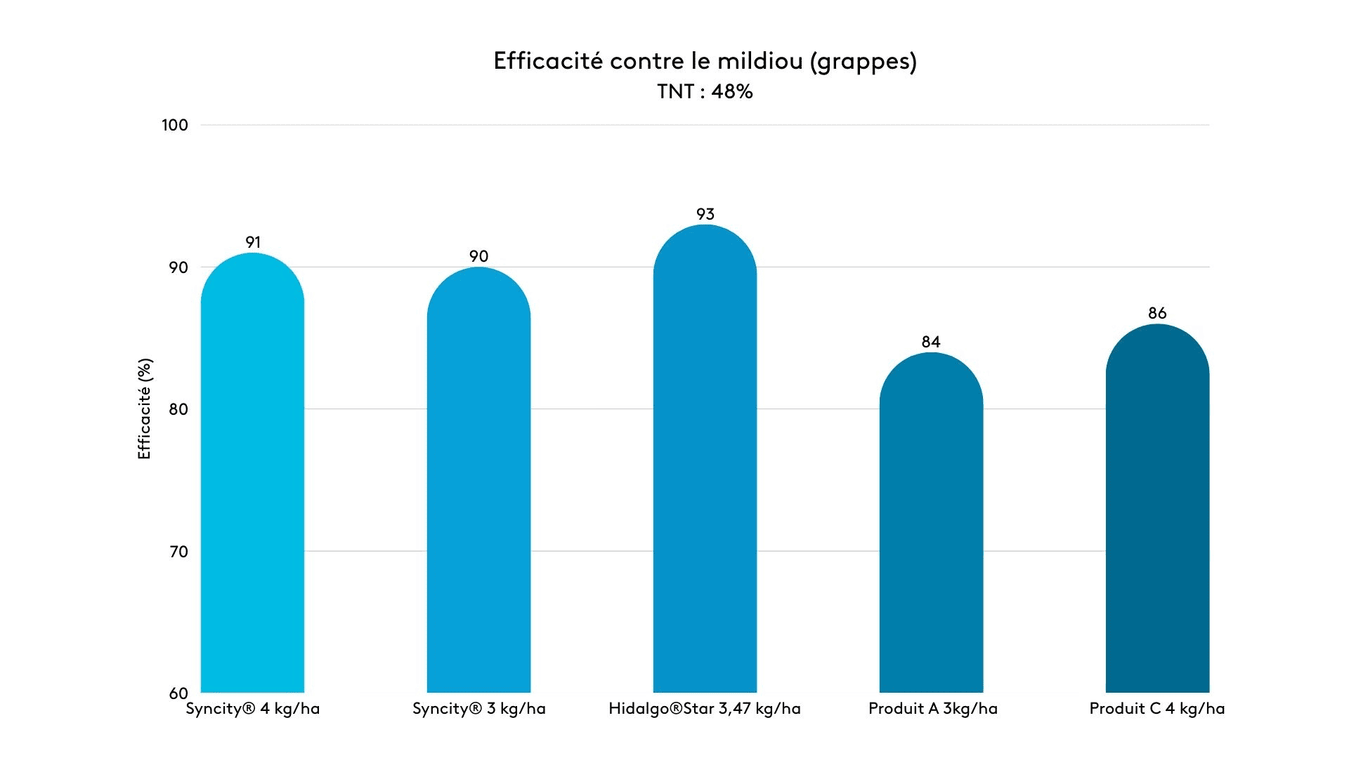 Efficacité contre le mildiou grappes 2025 50ko