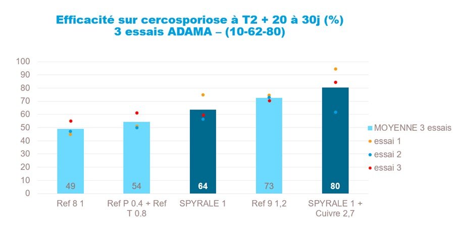 Efficacité spyrale cercosporiose