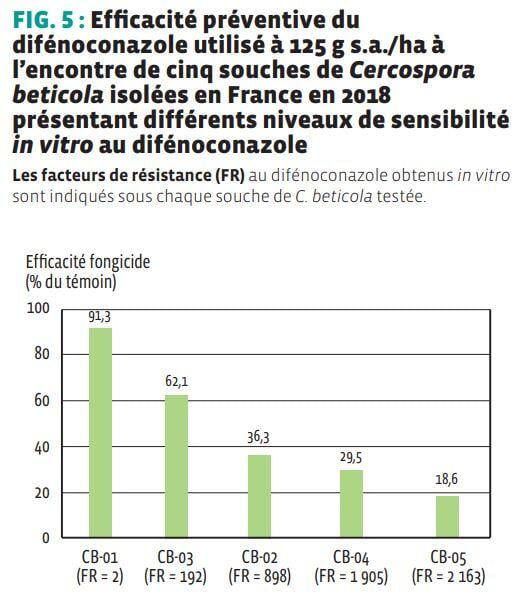 Efficacité_preventive_difenoconazole_cinq_souches_Cercospora_beticola