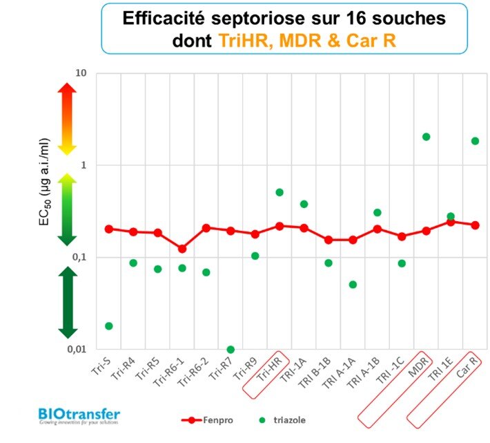Efficacite_Fenpropidine_sur_septoriose