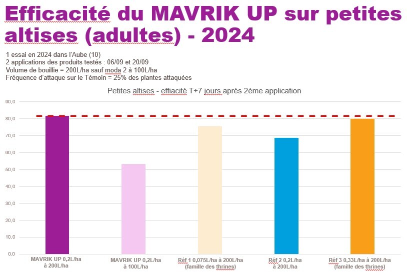 Efficacite_Mavrik_Petite_altise_adultes_colza_2024