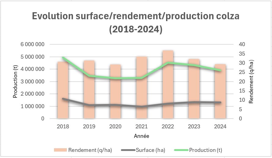 Graphique évolution rendement-surface-production colza