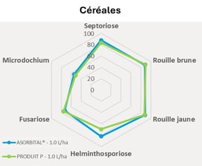 Maladies céréales spectre asorbital
