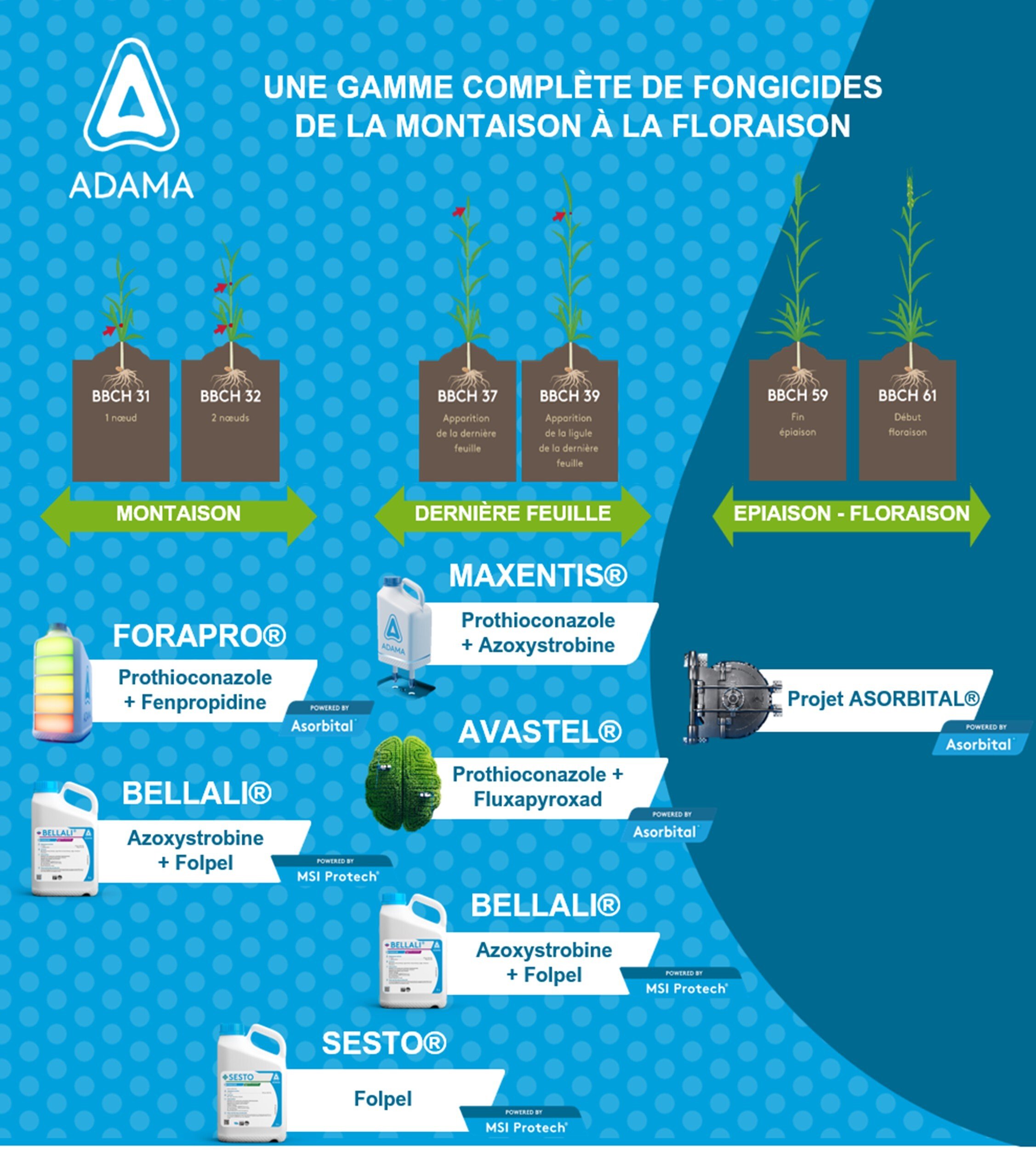 gamme complète de fongicides de la montaison à la floraison