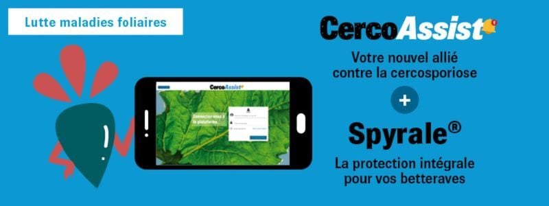 Images-article-Laurent-Pinsson.png50KO