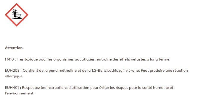 ML_PentiumFlo_Avril2025