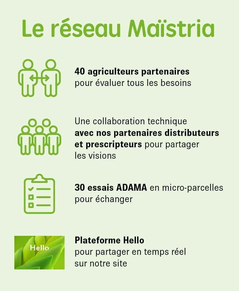 PilierMaitrise-reseau-maitria-insertion 50ko