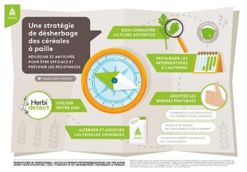 Poster_Strategie_DH_Vignette