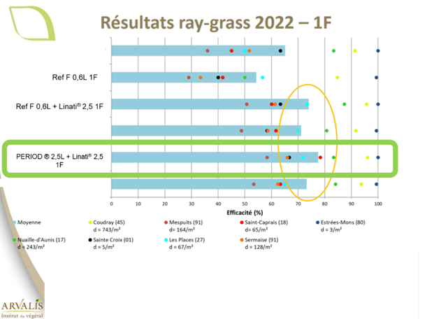 Ray Grass 2022 PERIOD - Blog