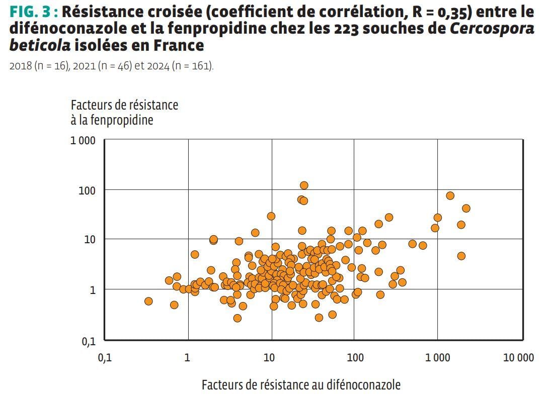 Resistance_croisee_defenoconazole_fenpropidine_Cercospora_beticola