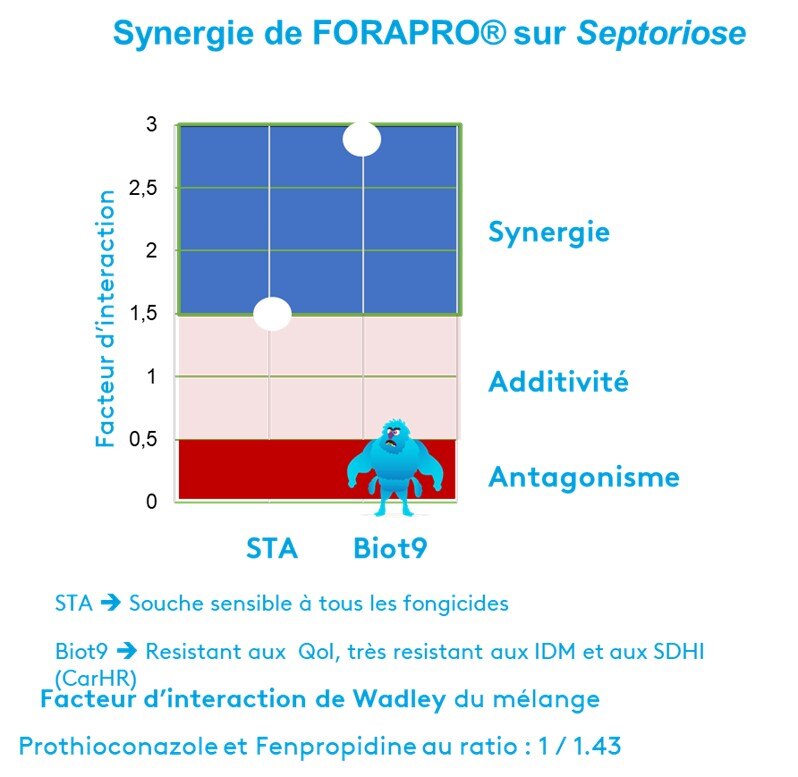 Synergie_Forapro_sur_septoriose