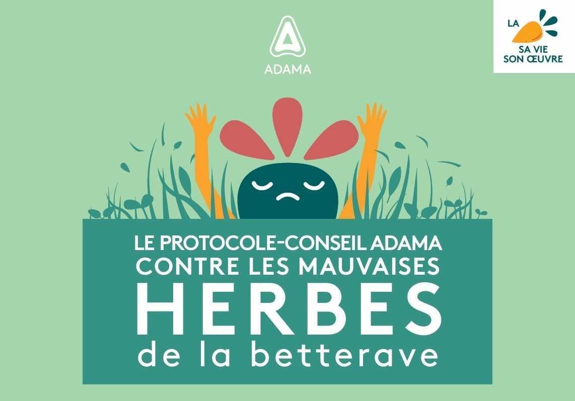 Téléchargez le protocole-conseil contre les mauvaises herbes de la betterave. 50KO