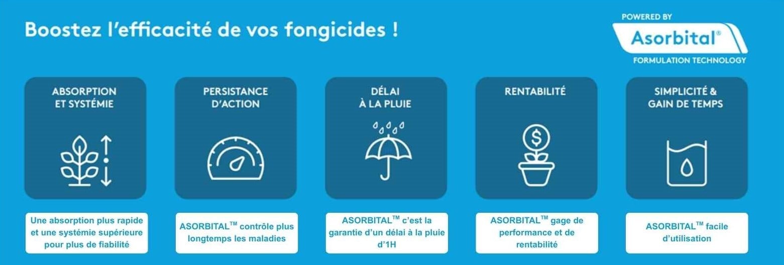 boostez lefficacité de vos fongicides 50ko (1)