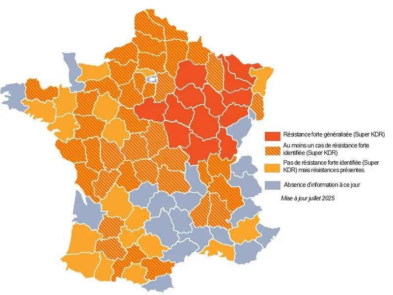 carte_resistance_altise_2025_0