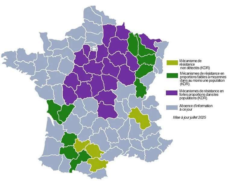 carte_resistances_cbt_2025