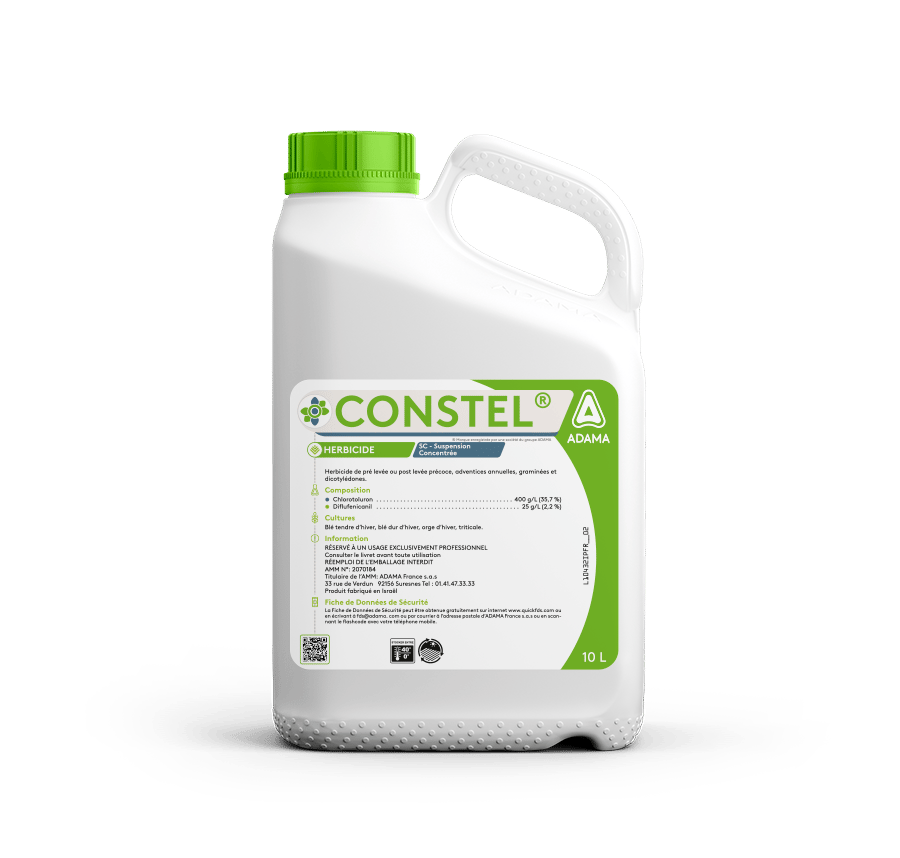 constel_10L