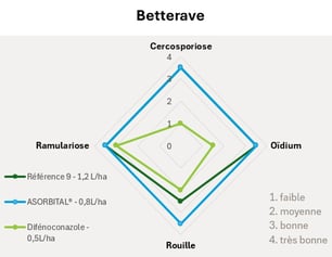 Maladies betterave spectre asorbital