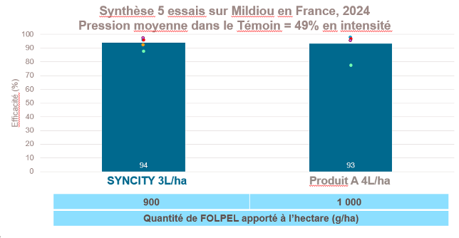 mildiou-1