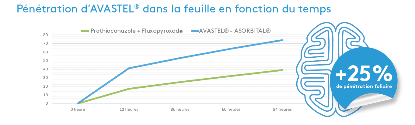 penetrationAVASTEL