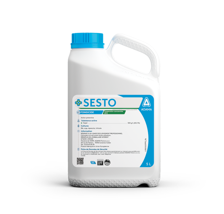 Sesto_5L