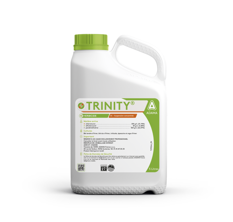 Trinity-1