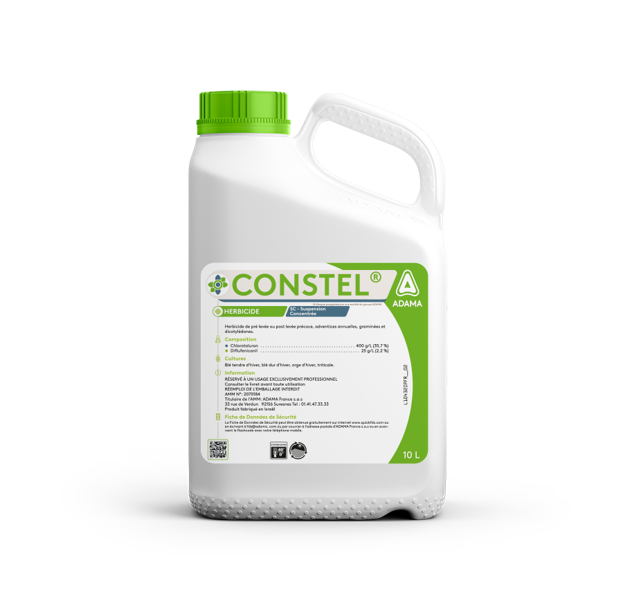 constel_10L