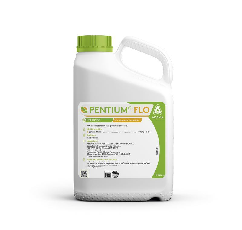 pentium_flo_5L